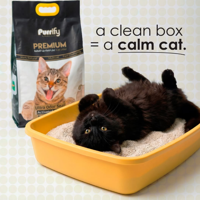 50% Off for Express Pet Grooming! discount at Pet Arabia