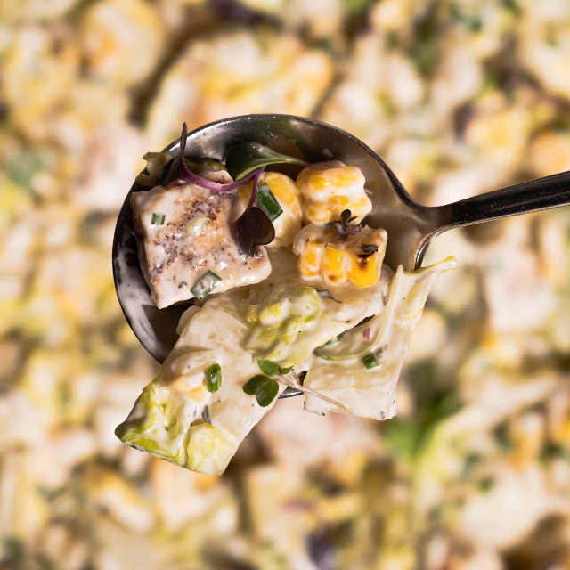 خصم 15% discount at ذا كاتس اوربان كيتشن