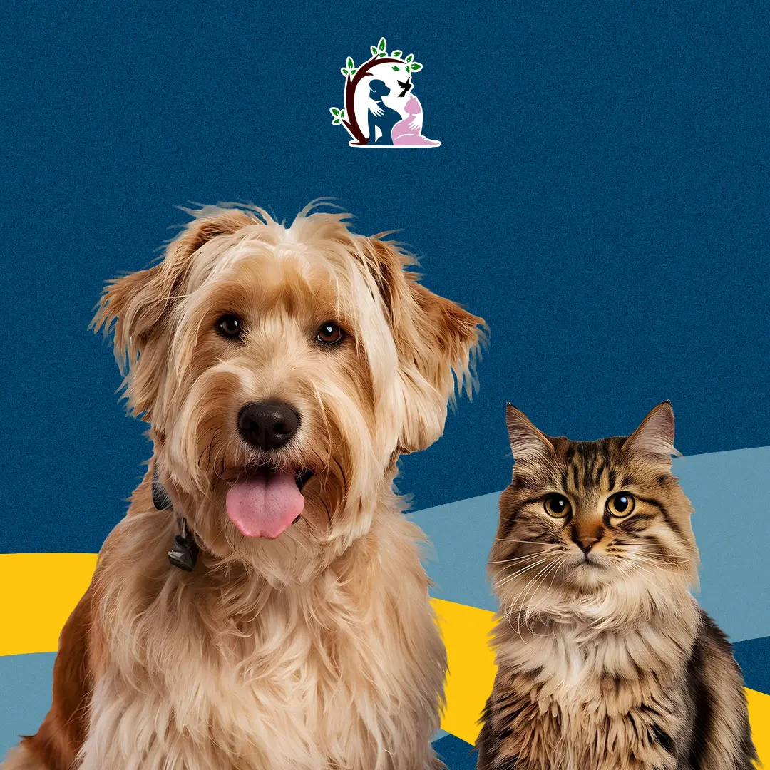 25% Off! offer at Soft Claws Vet Clinic