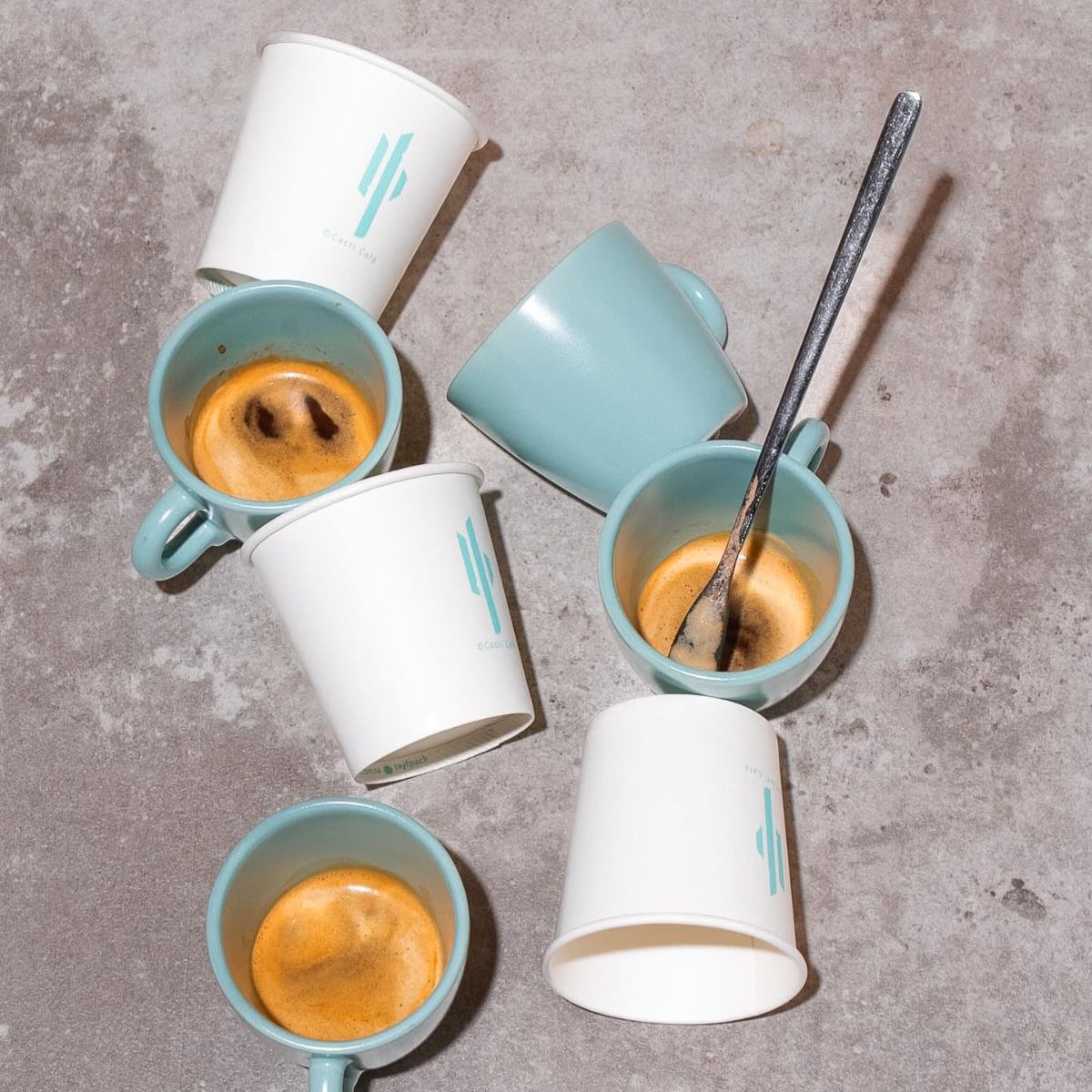 خصم ٢٠٪ offer at كاكتي