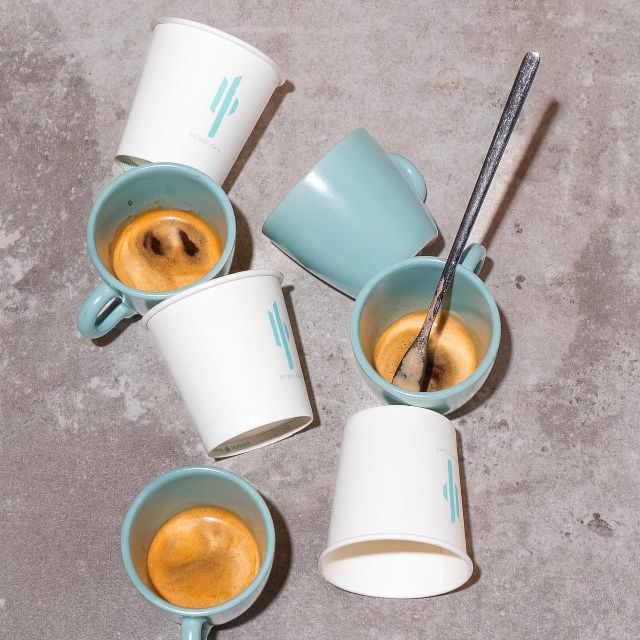 20% Off! discount at Cacti