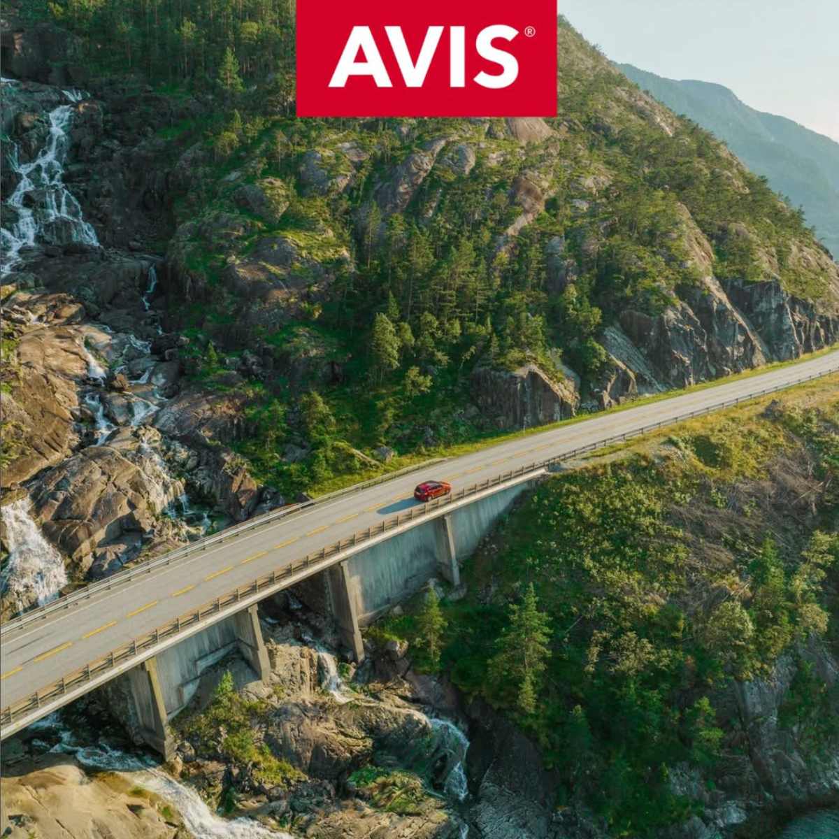 Rent for 12 months, pay only for 11 months offer at Al Haddad Motors Rental Avis