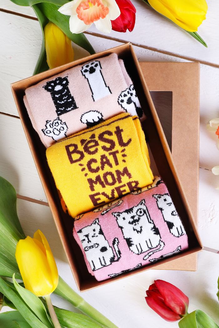 sokisahtel-paws-up-emadepaeva-kinkekarp-3-sokipaariga