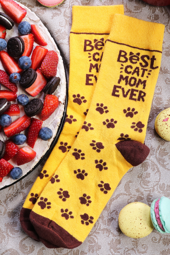 sokisahtel-bestcatmomever-with-cheesecake