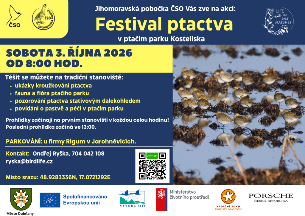 Festival-2026-1024x724.png-acf32f9d22c7b30f1d5acd542bd1bdd5.png