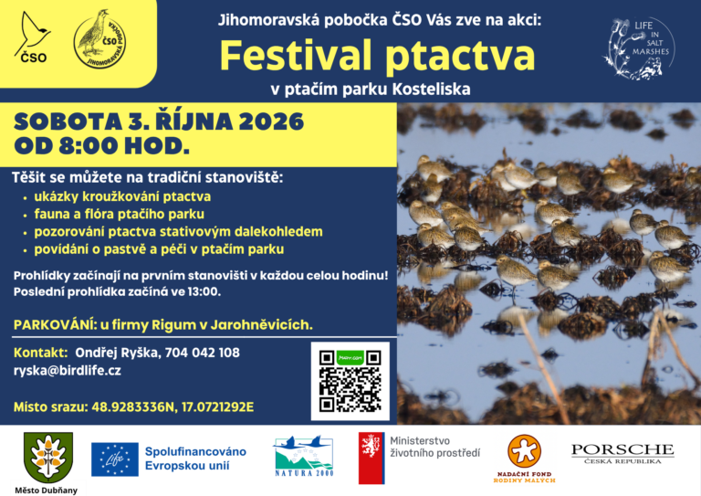 Festival-2026-768x543.png-356c5a3ac9a54595bd46f45c14163a85.png
