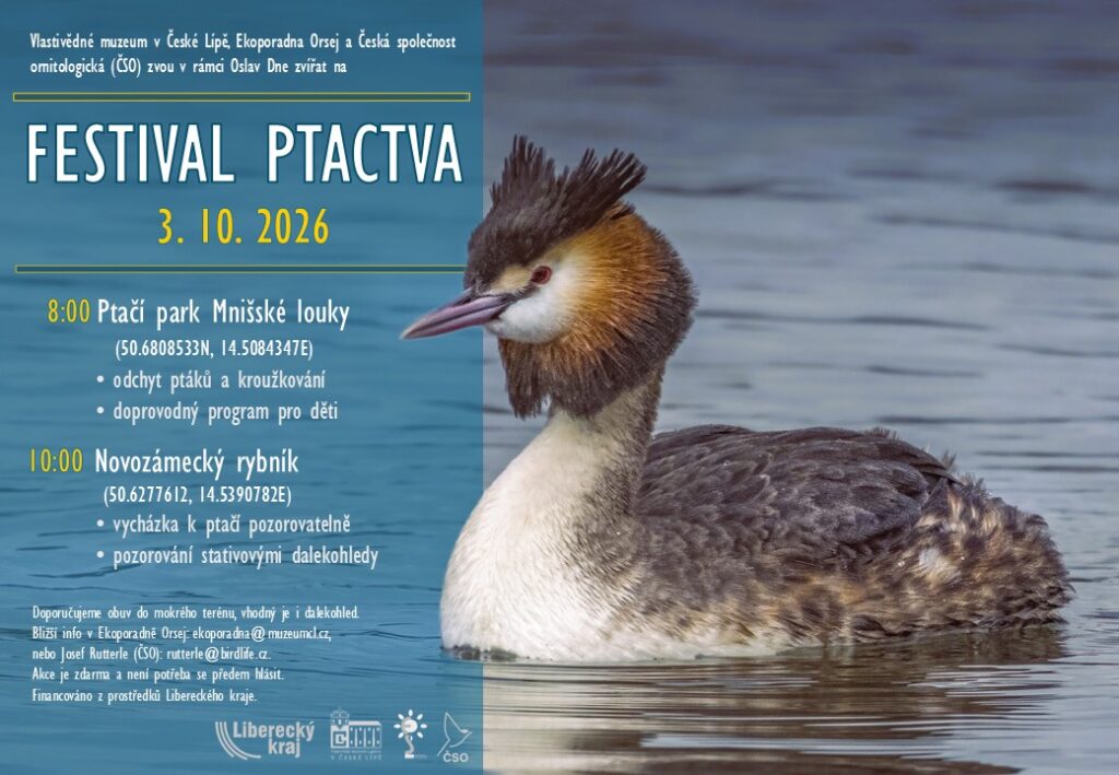 Plakat-Festival-26-1024x709.jpg-793e8aad465b6fe958ee072b03bb6630.jpg