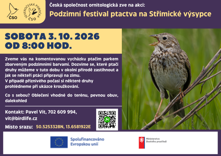 pozvanka-Podzimni-festival-ptactva-768x543.png-9db049d826812cd446575b8398bfa7ba.png