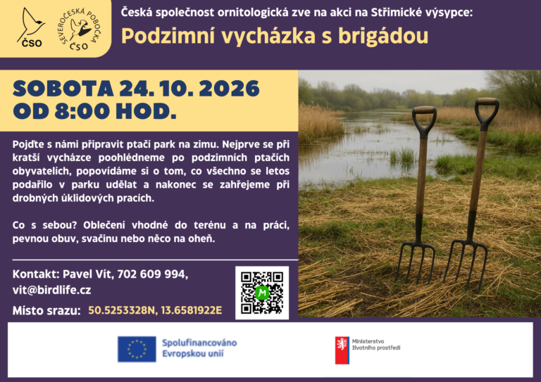 pozvanka-Podzimni-vychazka-s-brigadou-768x543.png-0171aed578d6b90238ea6ffb91e3ee27.png