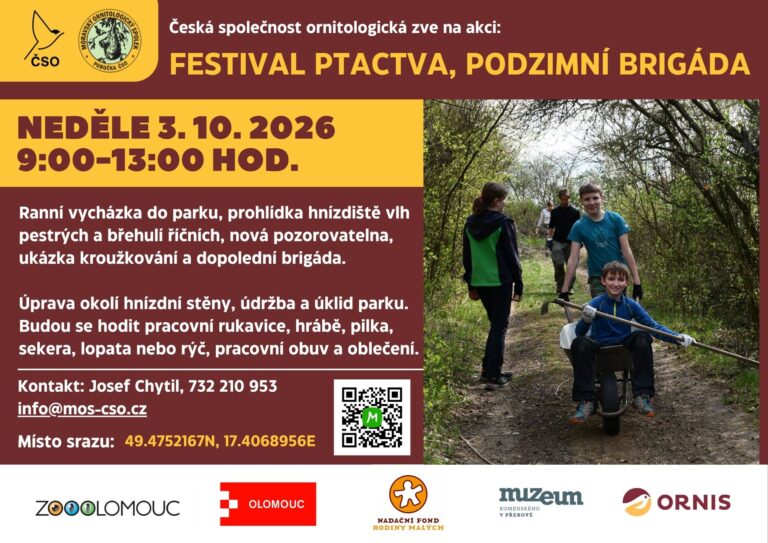 pozvanka-mlip-fest-brig-2025-768x543.jpg-36286ac3c34bc3a46b98d9a191d9b6dd.jpg