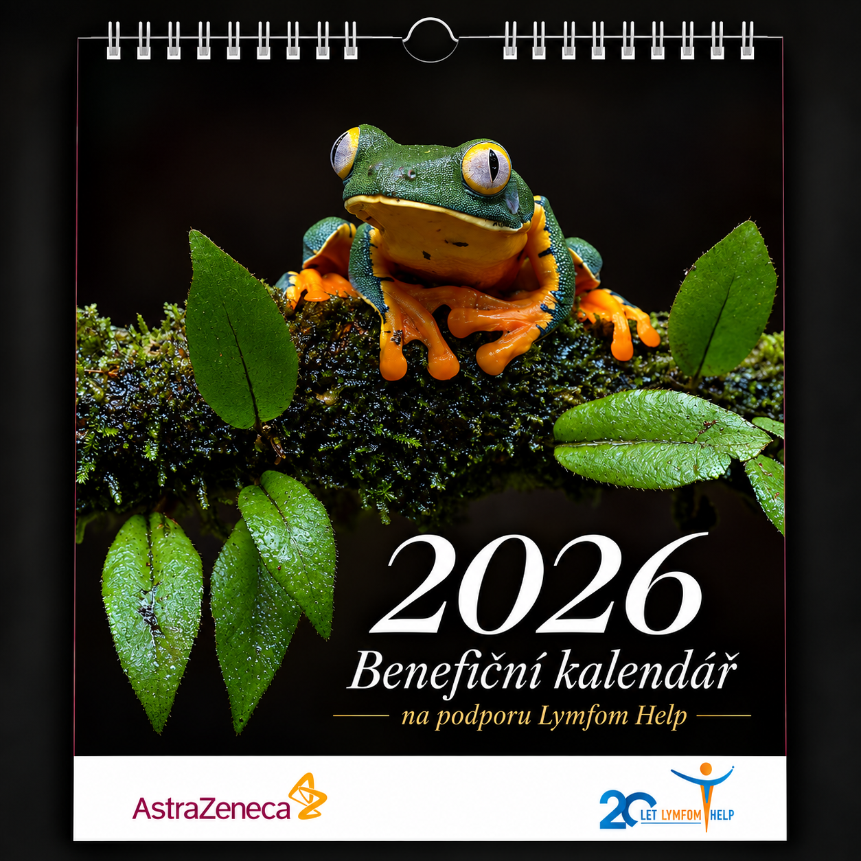 2026-Beneficni-Kalendar-s-Rosnickou.png-41c26b7bfc3817adec923ba4ffe49a2d.png