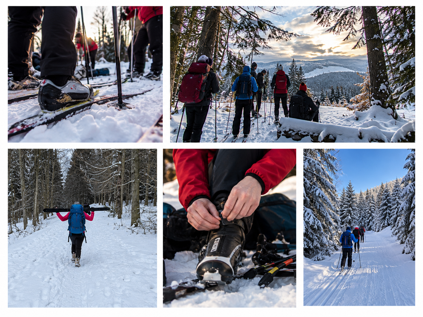 Winter-Ski-Touring-Collage.png-de1201c50a33bd30ded8401823c1bb71.png