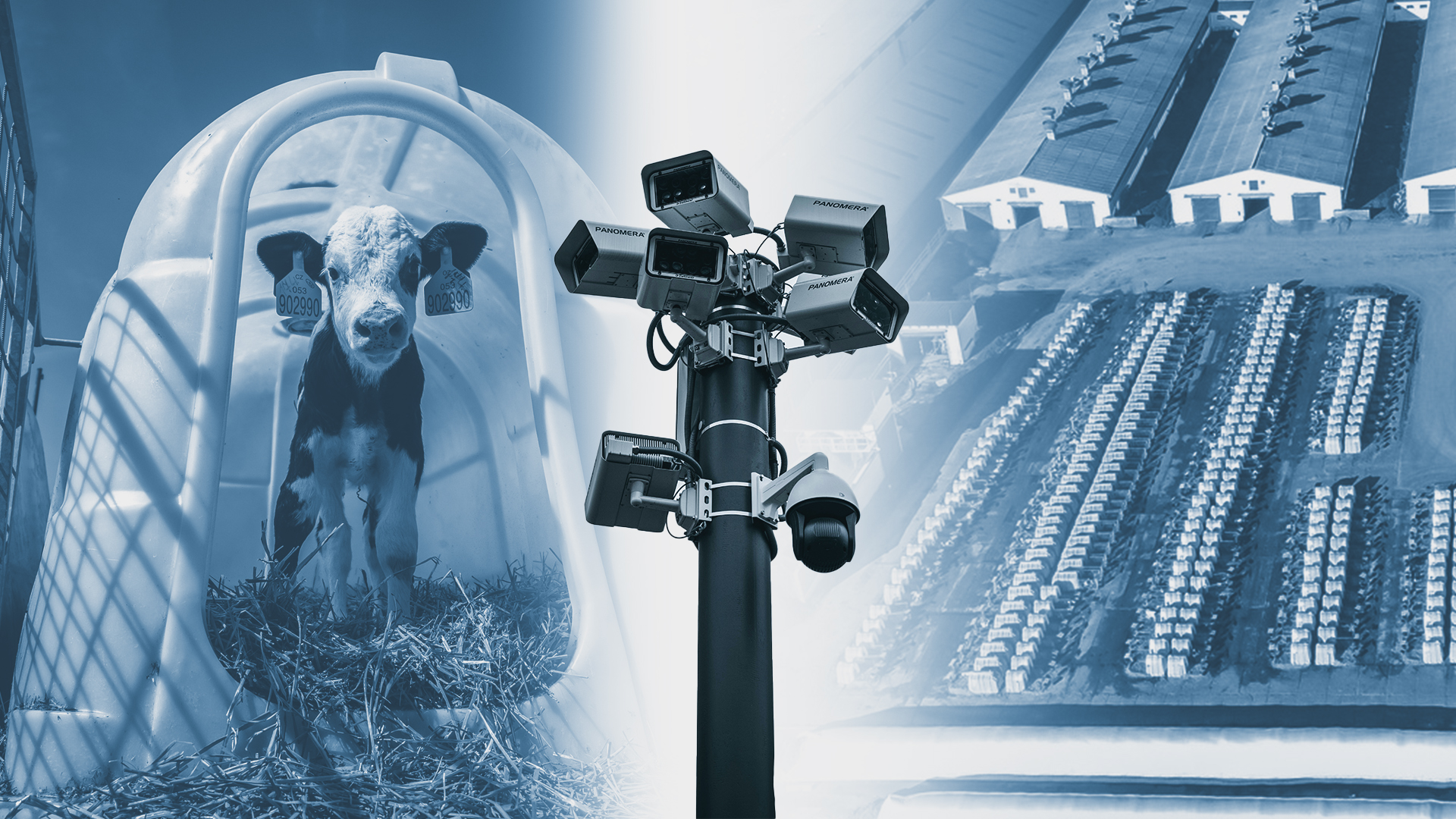 MLÉK.O. Konec lží o mléku