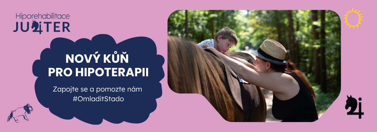 Pojďte s námi přivést nového parťáka do našeho stáda: Nový kůň pro hipoterapii