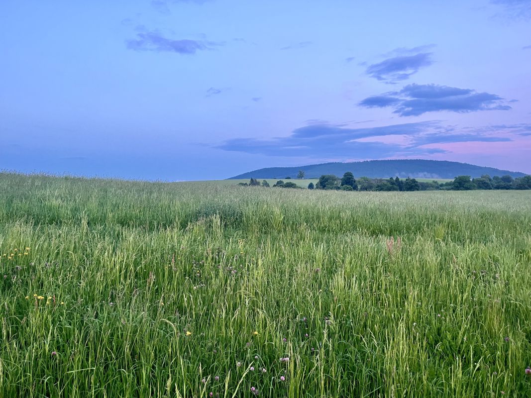 Nenechme českou přírodu padnout. Potřebujeme vás víc než kdy jindy.