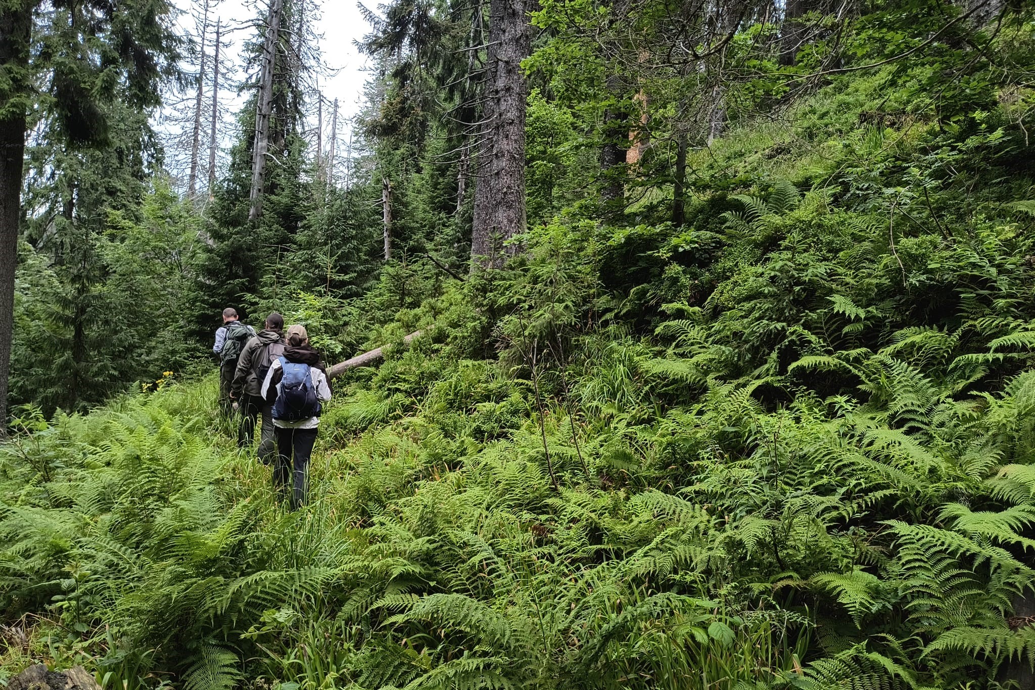 Podpořte ukrajinské vědce v ochraně přírody