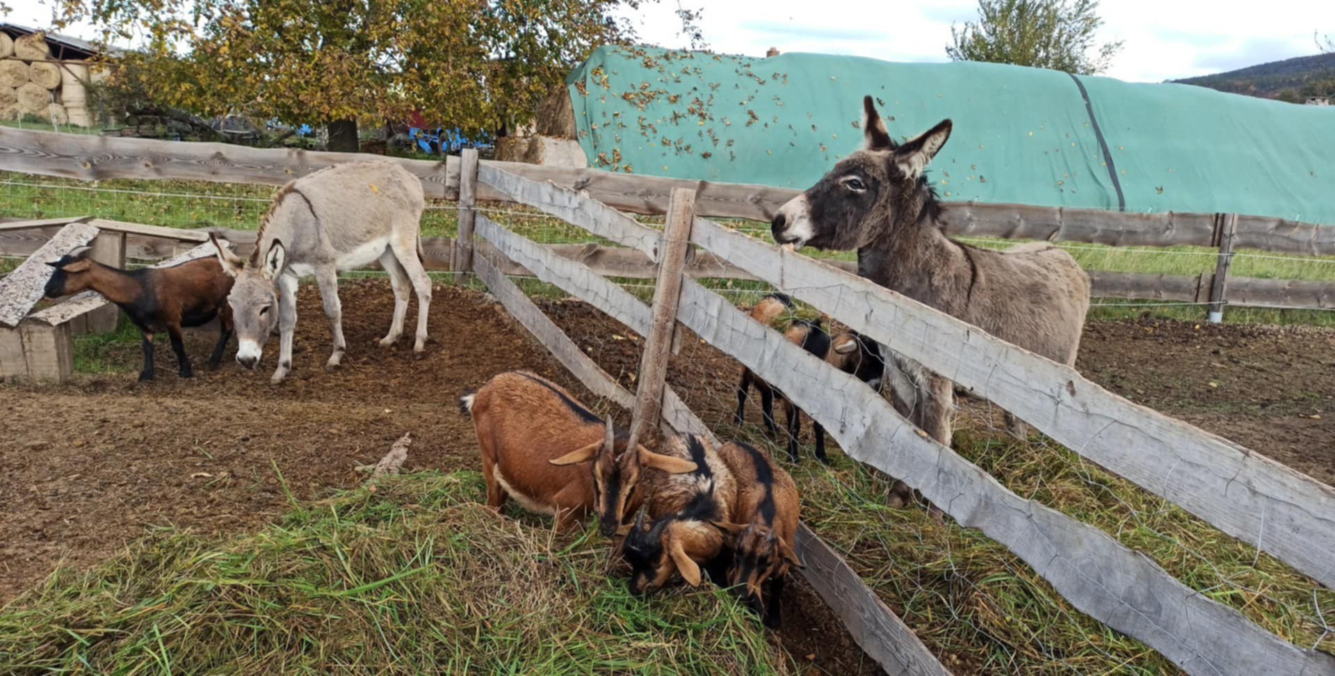 Dokážeme víc: Výukové a informační cedule