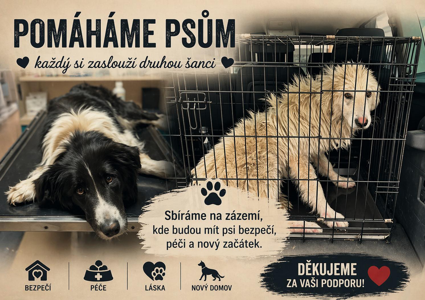 Sbírka na dostavbu psího zázemí