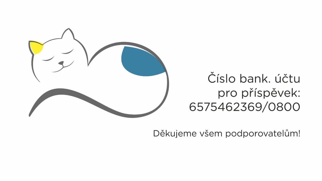 Pomoc pro kočky, které si nemohou pomoci samy