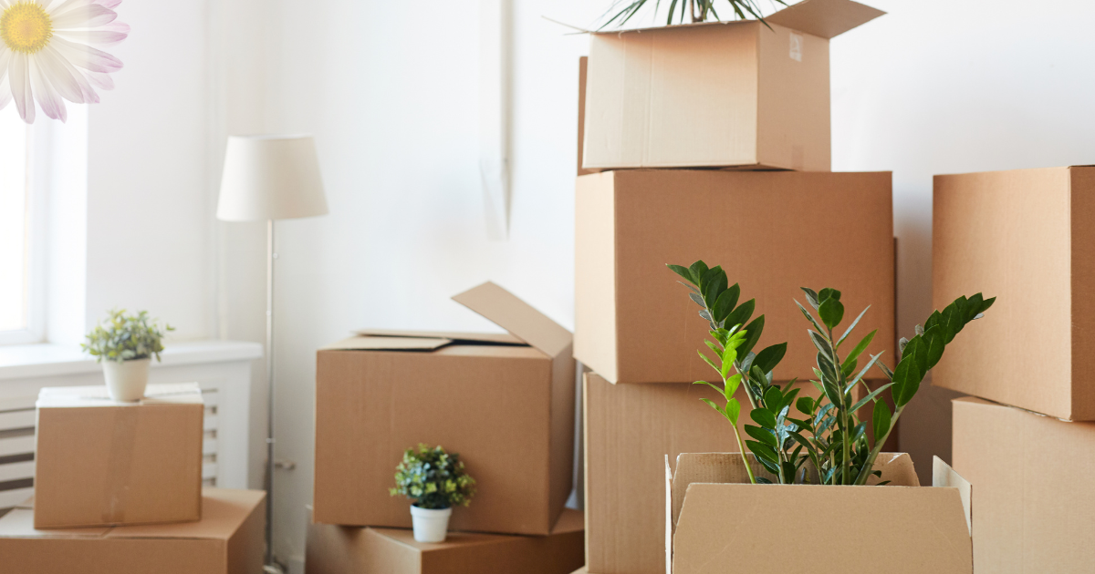 Podpořte bezpečný prostor Anabell Brno – pomozte nám přestěhovat se