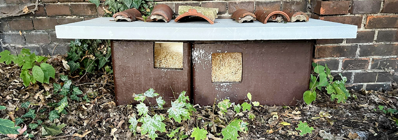 BY BUYING A BOXES, YOU WILL HELP OUTDOOR CATS survive the winter in a dry and warm place 😻