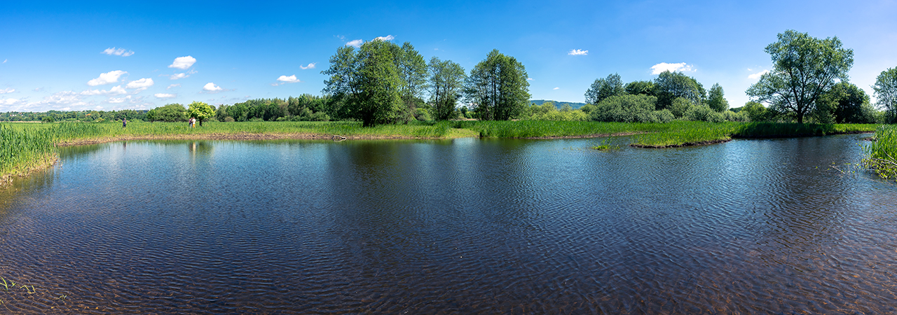 Vracíme život do Sedmihorských mokřadů