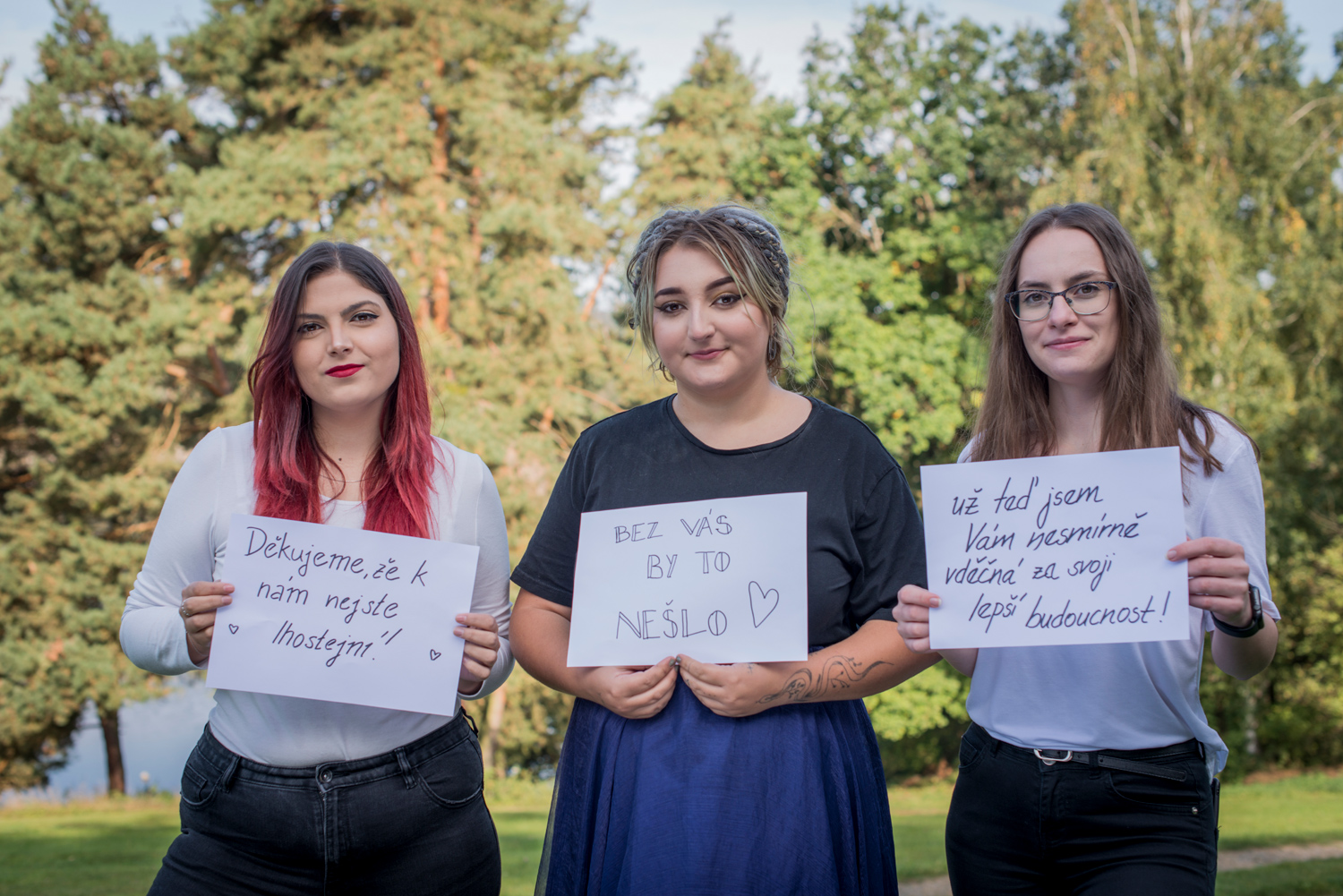 příspěvek na činnost organizace