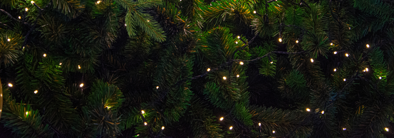 Zachraň oběd - darujte skutečné Vánoce