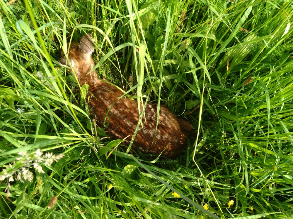 Dva drony pro droboť na loukách