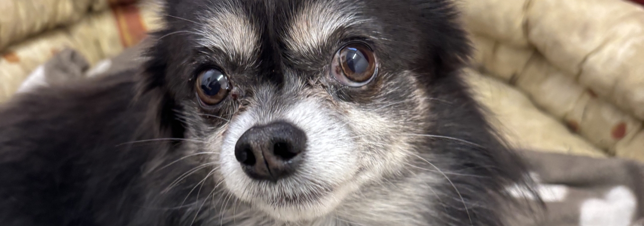 Pomozte Maxmiliánkovi vrátit radost z pohybu