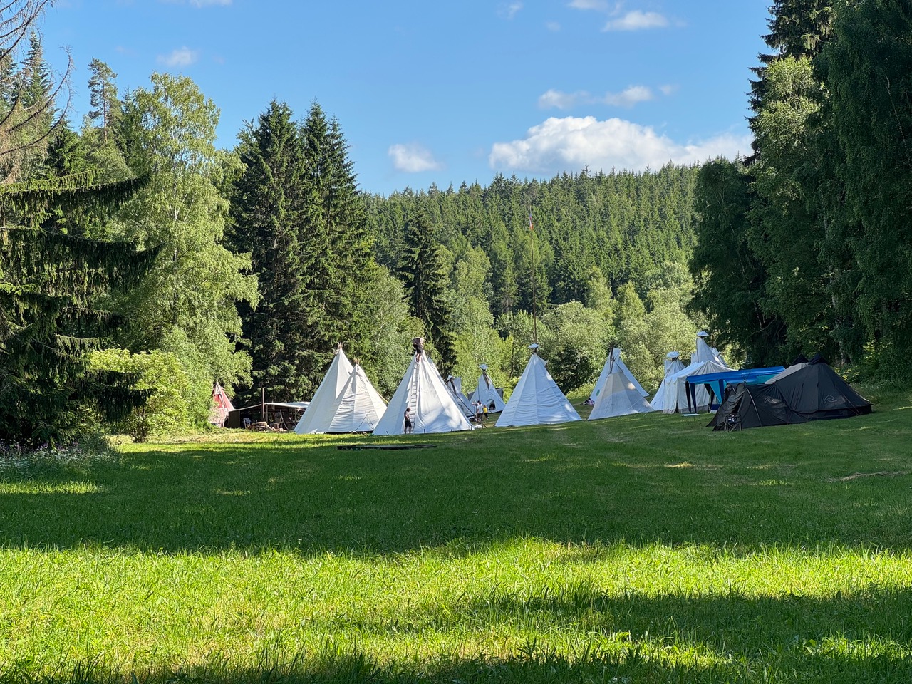 Mufloní louka pro Pětku z Liberce