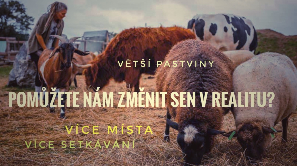 SOS! Prosíme pomozte nám dát zachráněným zvířatům větší prostor k životu.