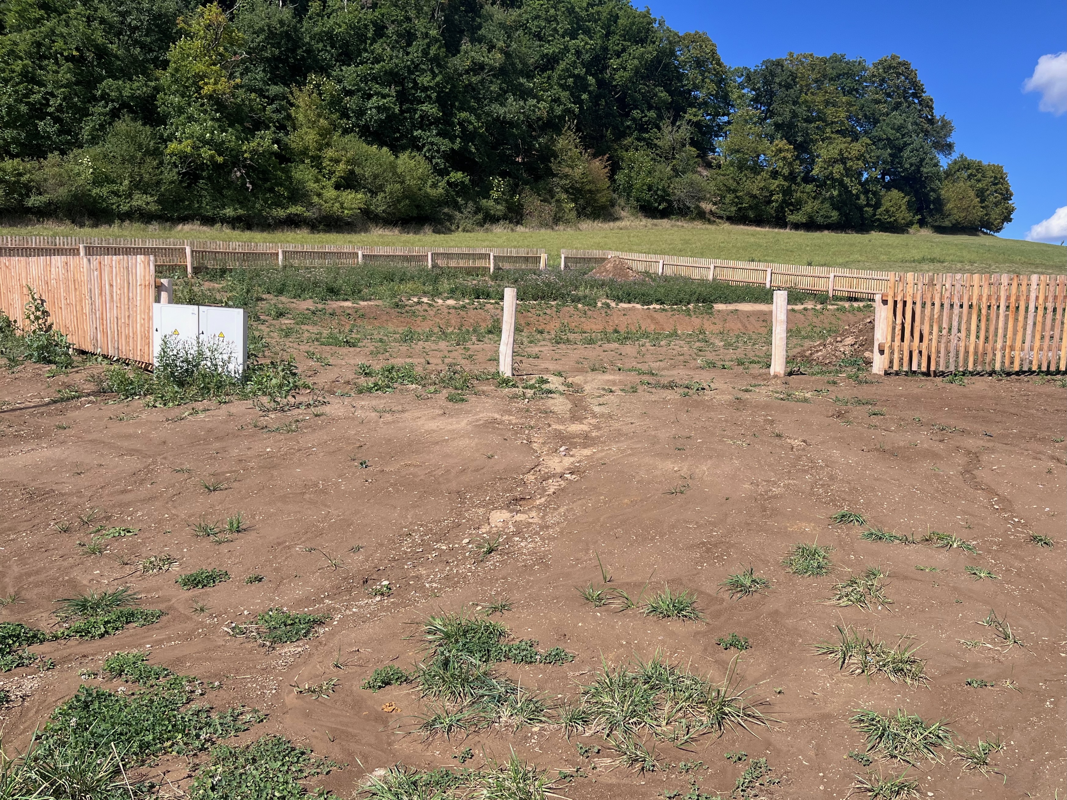 Zahrada pro Ledňáčka