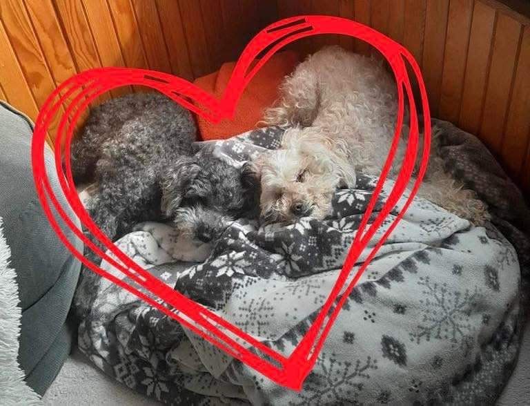 VALENTÝNSKÉ RANDE PRO BUBÁČKY