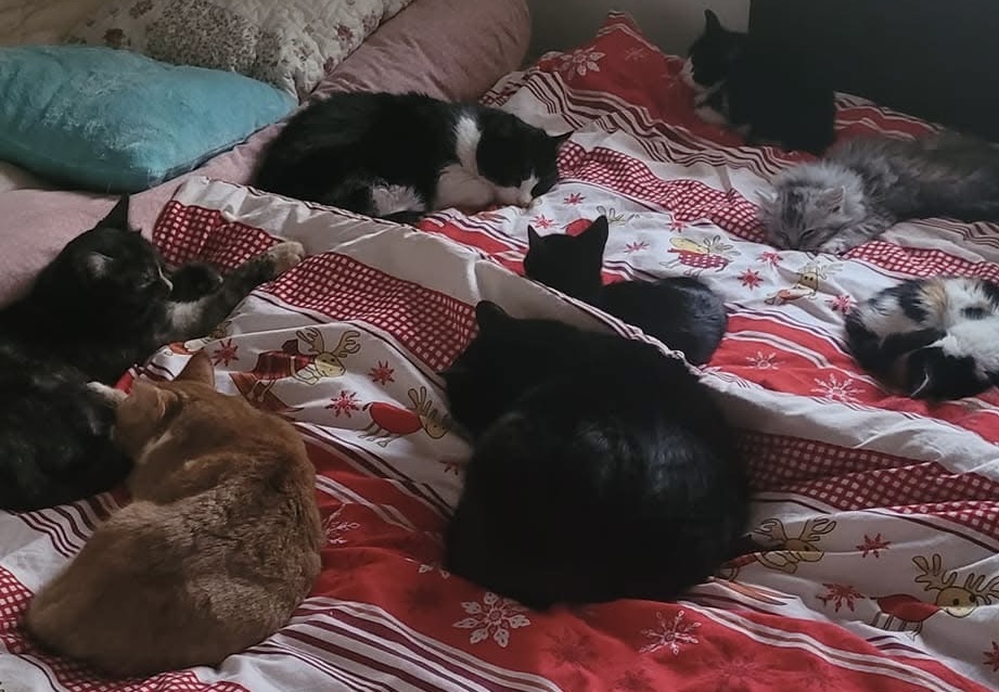 Pomoc pro Depozitum Elinka