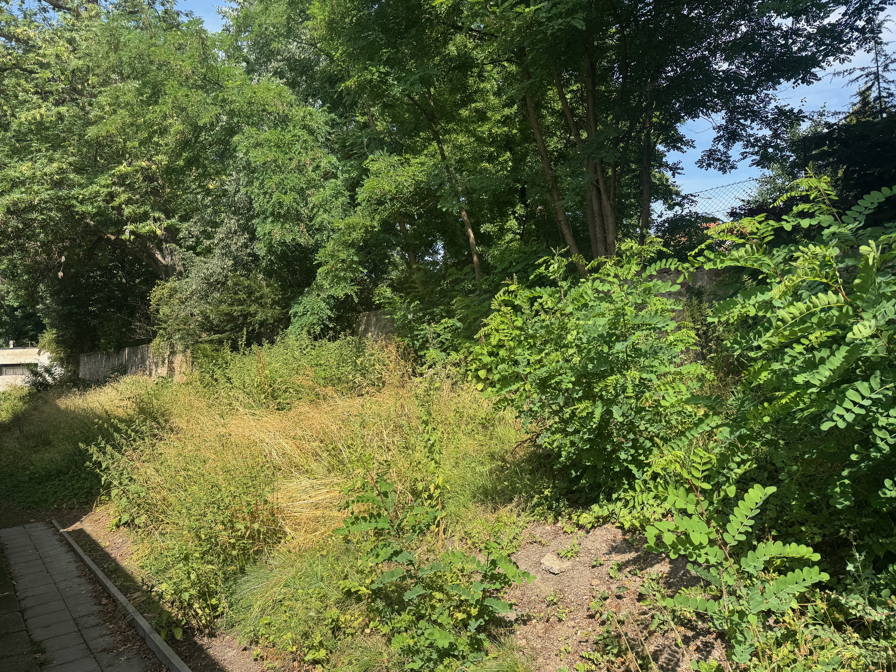 Lépe aktivně na zahradě u nás v CROSSu než na ulici