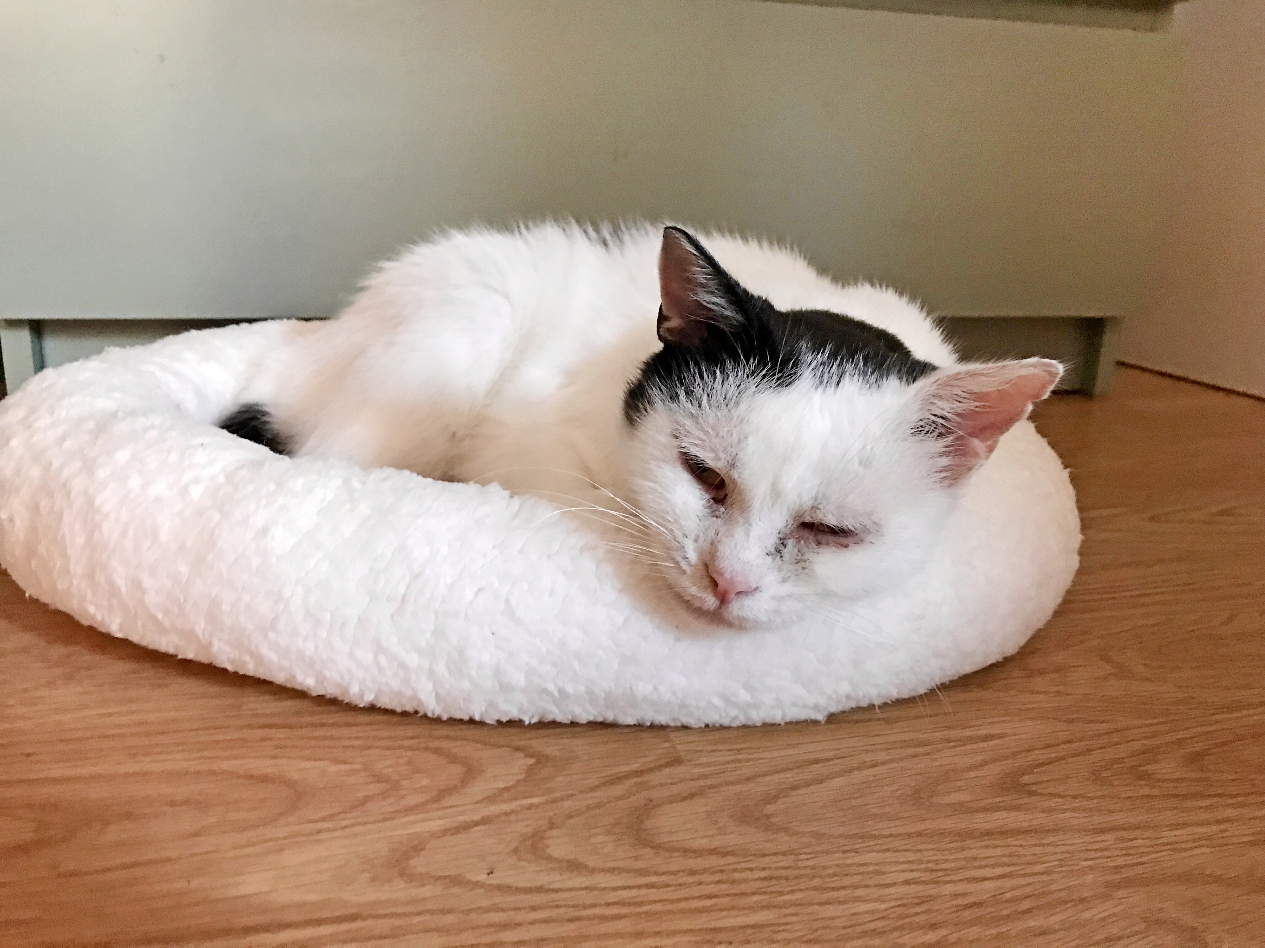 Dietní konzervy pro Hubíka