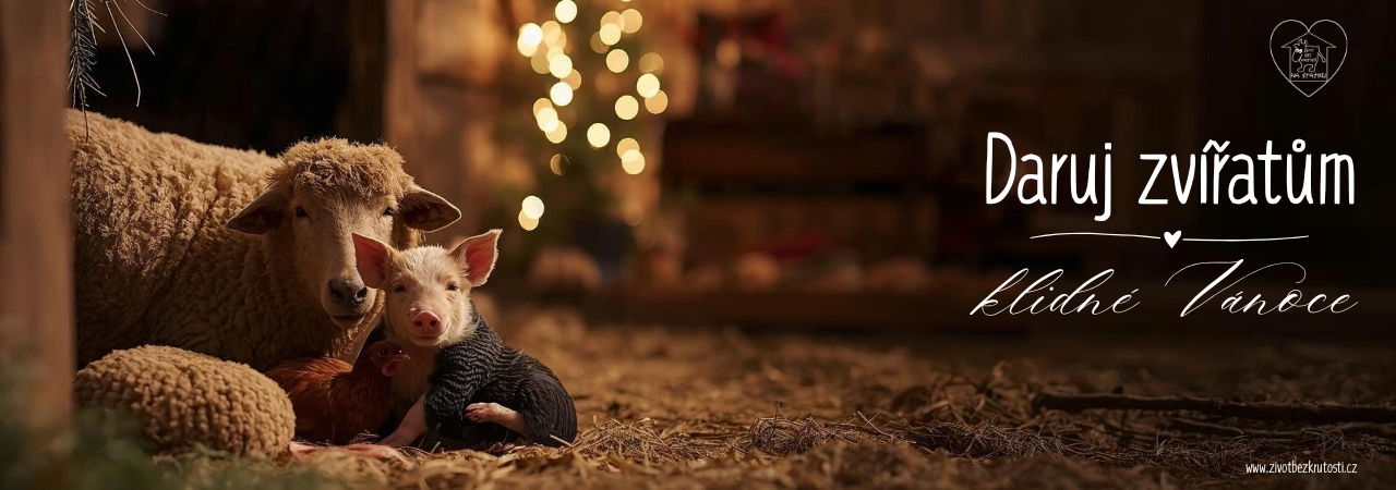 DARUJ ZVÍŘATŮM KLIDNÉ VÁNOCE