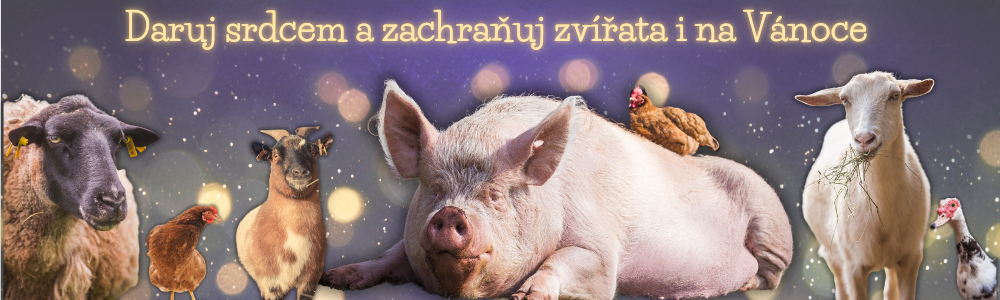 Dary od srdce -  zachraňujte zvířata i v roce 2025
