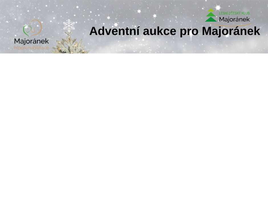 Adventní aukce pro Majoránek 2024