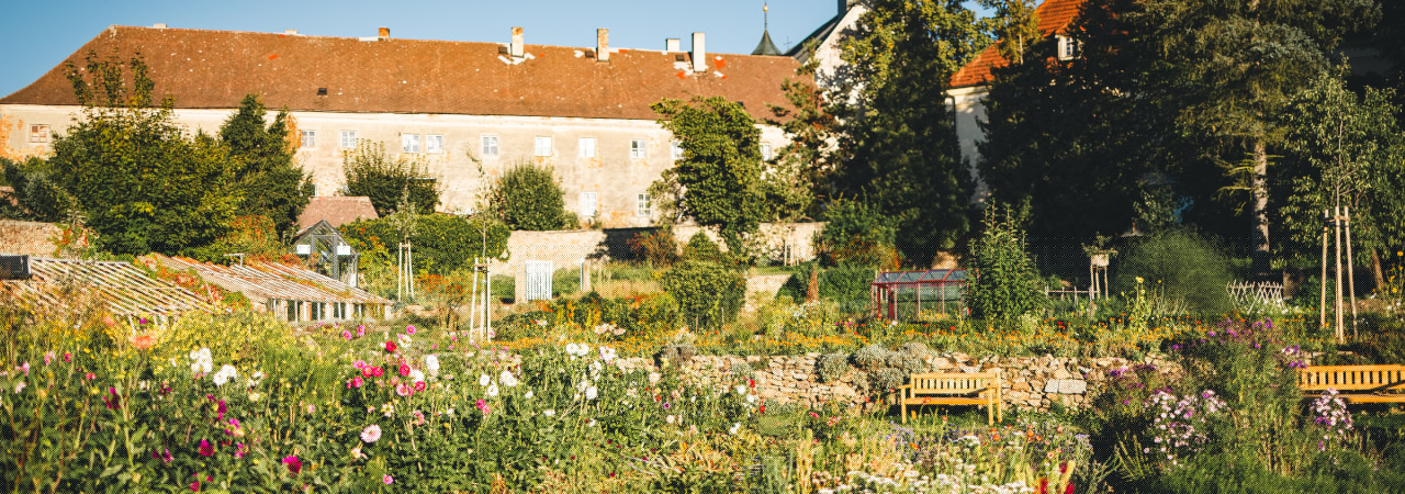 Dokážeme víc: Sociální zázemí pro Krafferovu zahradu