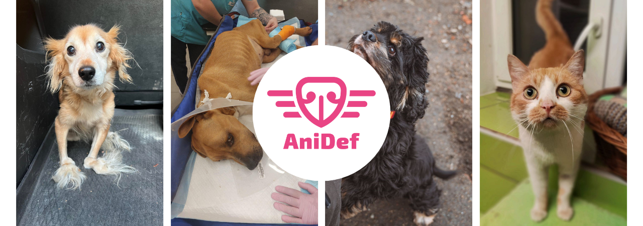 Zachraňujte s námi i zítra