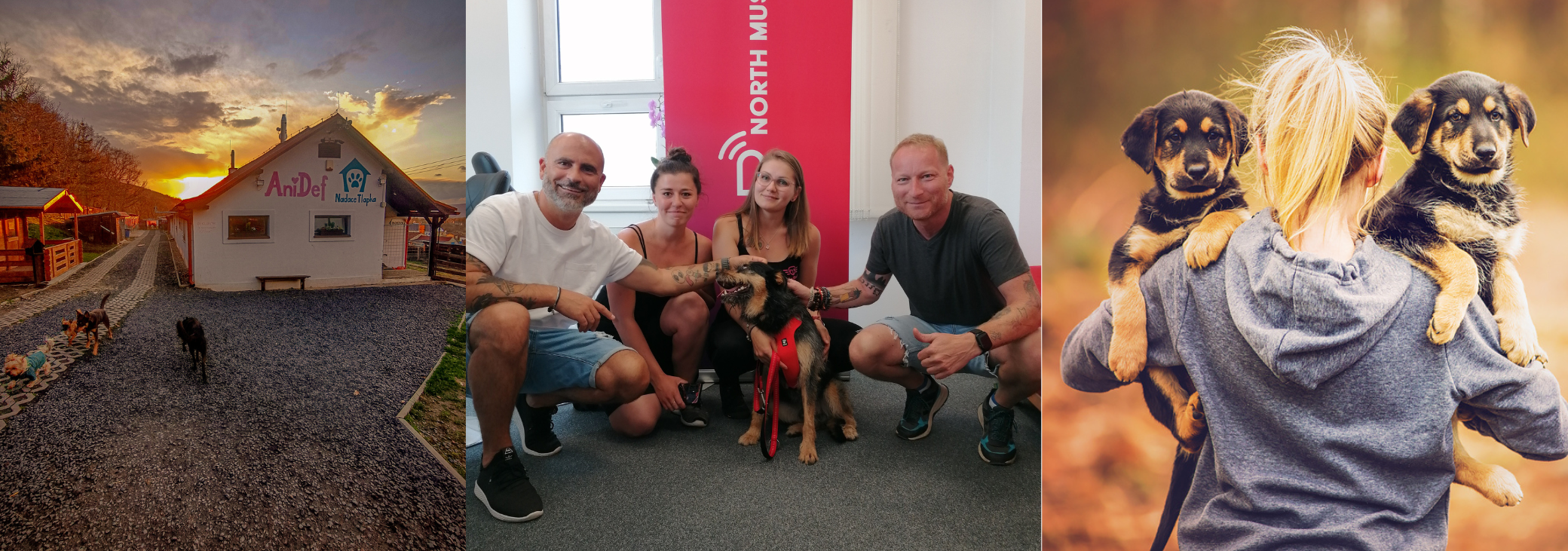 Plníme přání pejskům v útulku