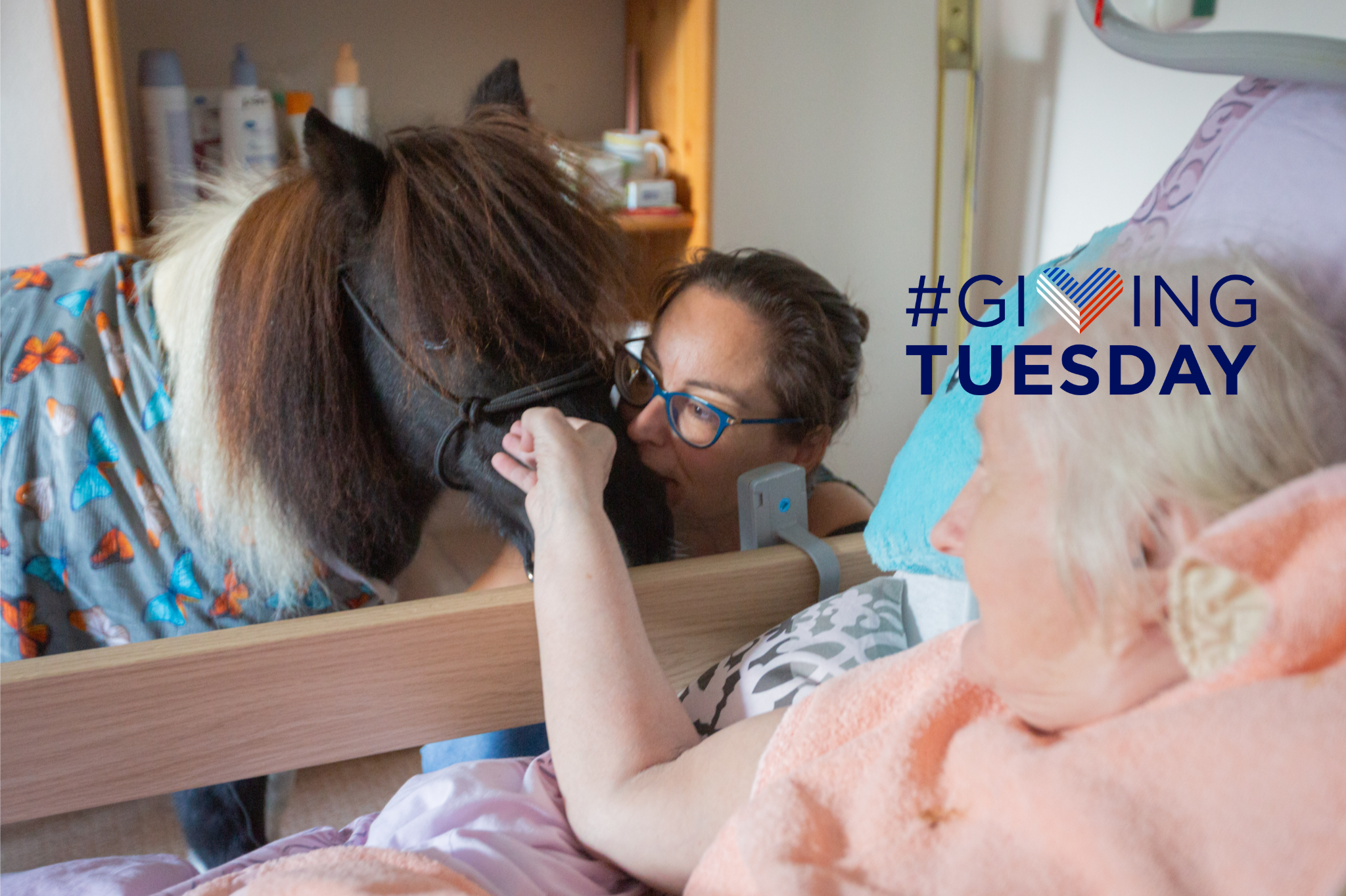 Terapeuti s koňskou hřívou