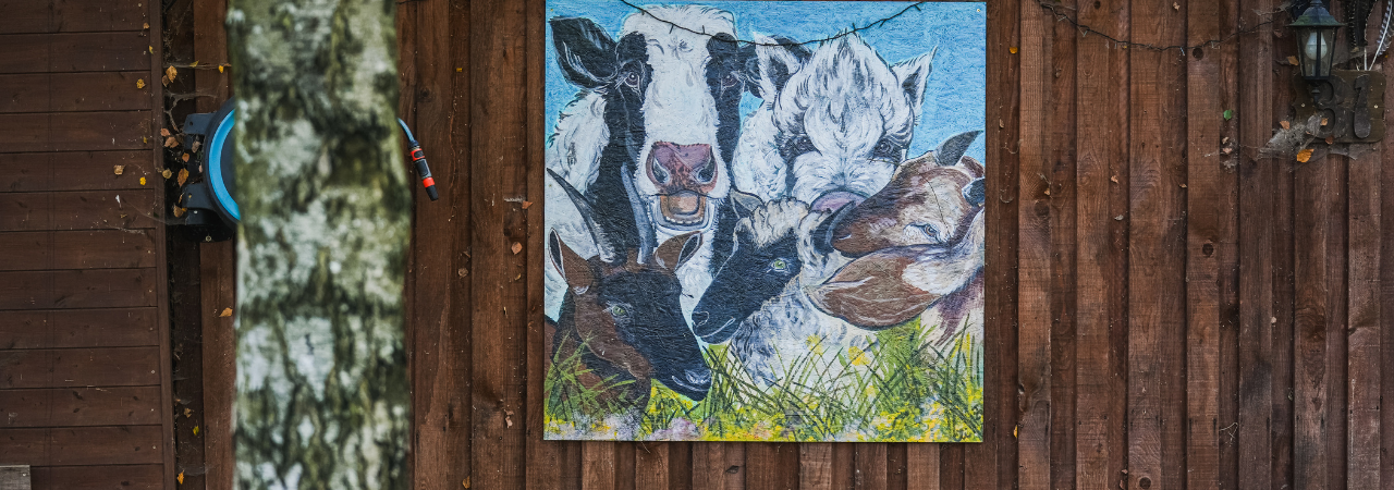 O chlup lepší rok 2026