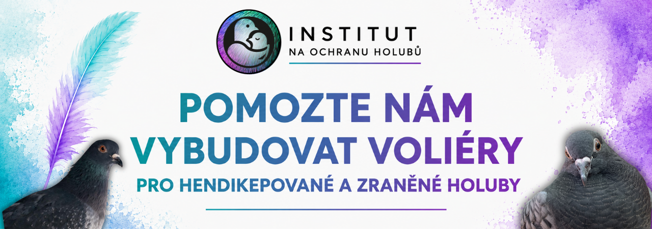 Cipína volá o pomoc!