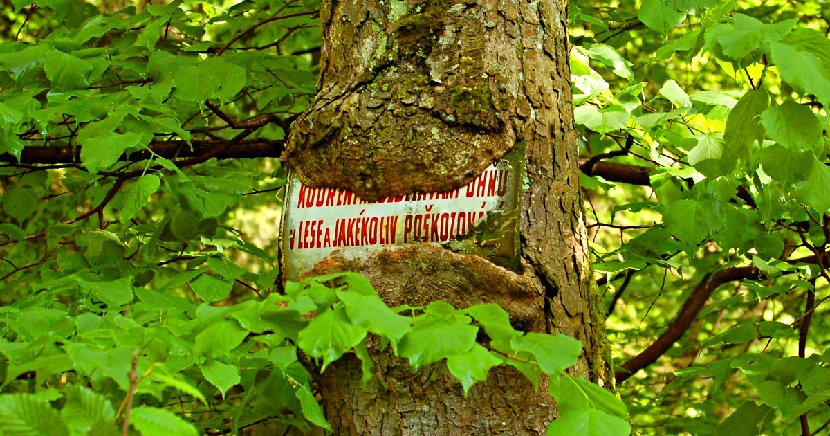 Přežije Ekolist do konce roku 2025?