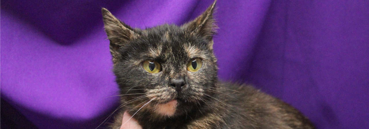 Půl roku léčby pro Ninu