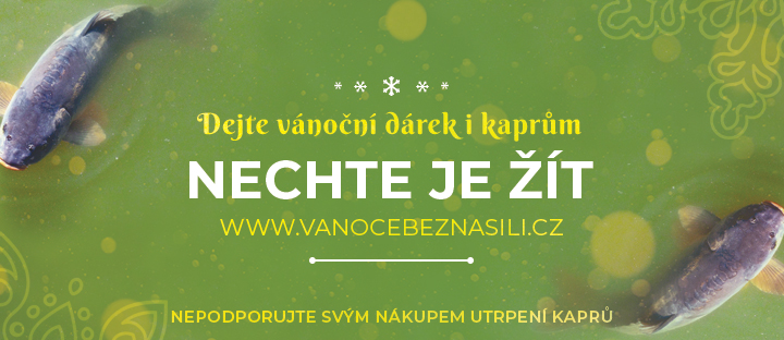 Vánoce bez násilí