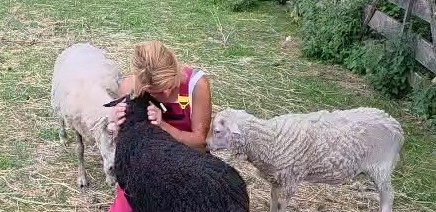 Help ensure a year of life at KROV Sanctuary